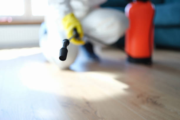 Best Mold Odor Removal Services  in Coral Terrace, FL